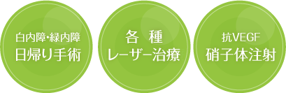 白内障・緑内障日帰り手術 各種レーザー治療 抗VEGF硝子体注射